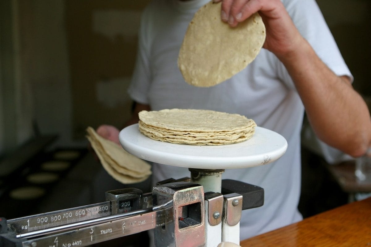Sheinbaum prevede un calo dei prezzi delle tortillas con il nuovo accordo.