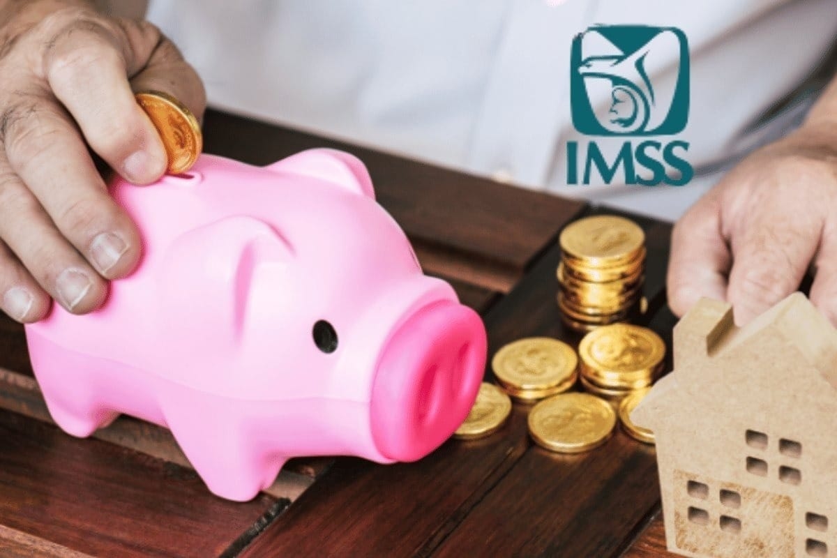 This is how you can recover your IMSS contribution weeks and protect your pension.