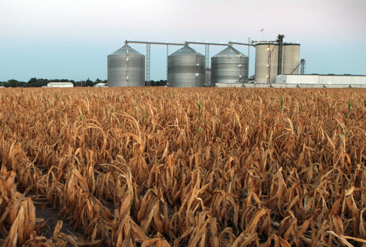 Refinery-State Senators Look to Block Trump From Shifting Renewable Fuel Obligation