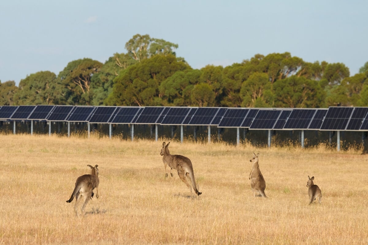 European Energy signs PPA with Amazon for three Australian solar parks