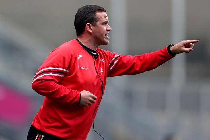 Brennan hoping "more maturity" will stand to Louth in Leinster SFC final