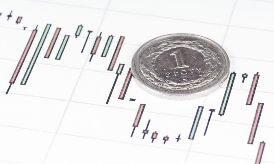 Злотый был потрясен, но не пошевелился. Курс доллара замедлился до 3,60 злотых