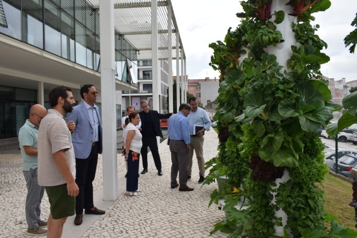 OesteCIM inaugura jardín vertical sustentable en Caldas