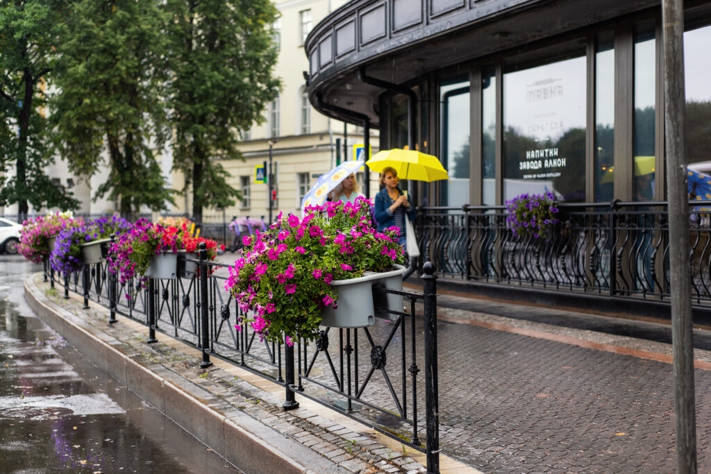 La première semaine de juin pourrait commencer avec de la pluie pour les habitants de Novgorod