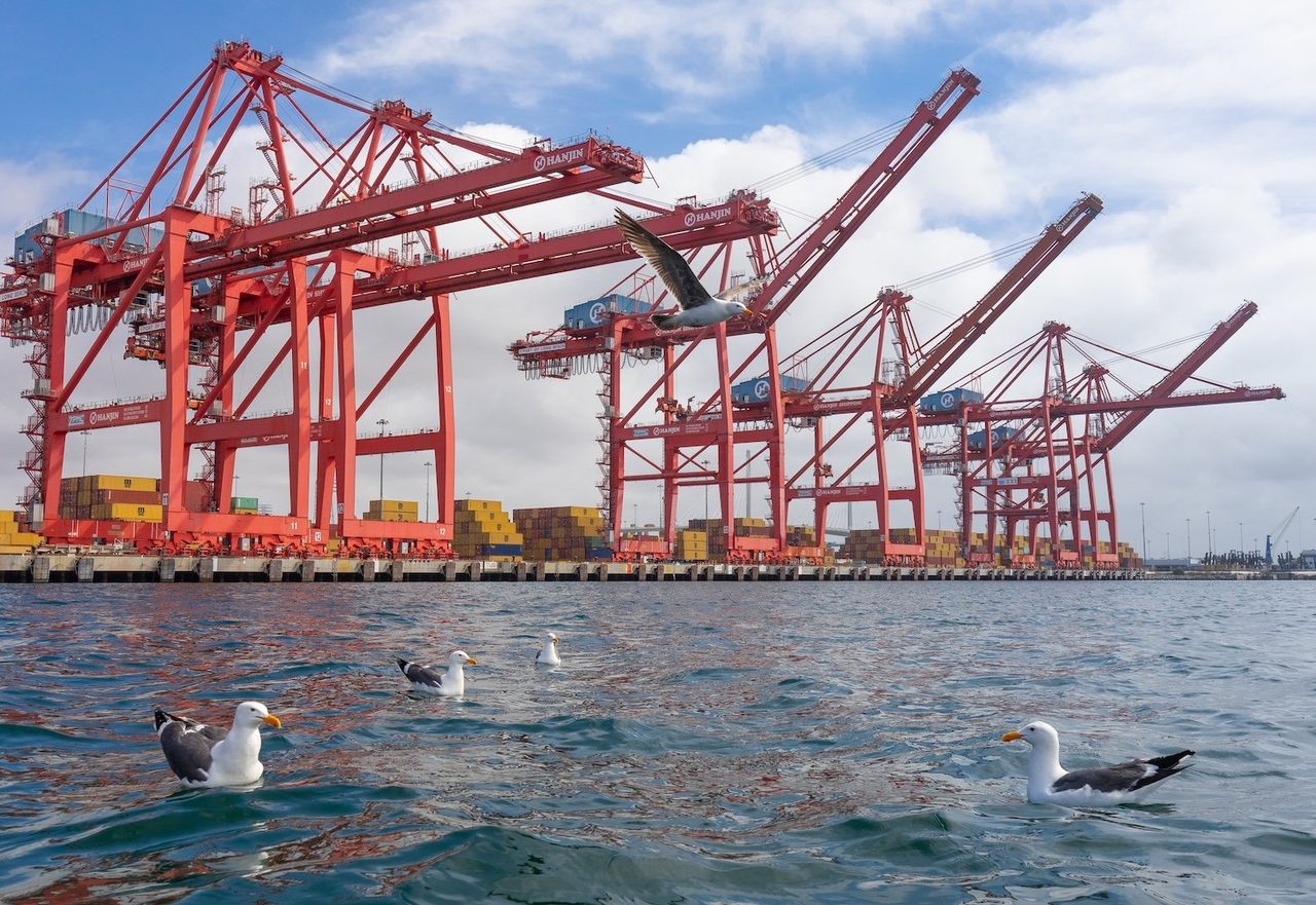 Les importations américaines chutent de 19,8 % en avril (oui, c'est un record)