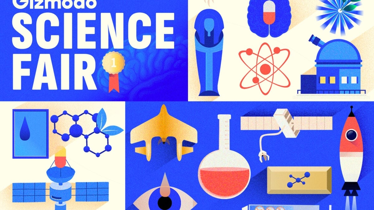 De winnaars van de Gizmodo Science Fair 2025