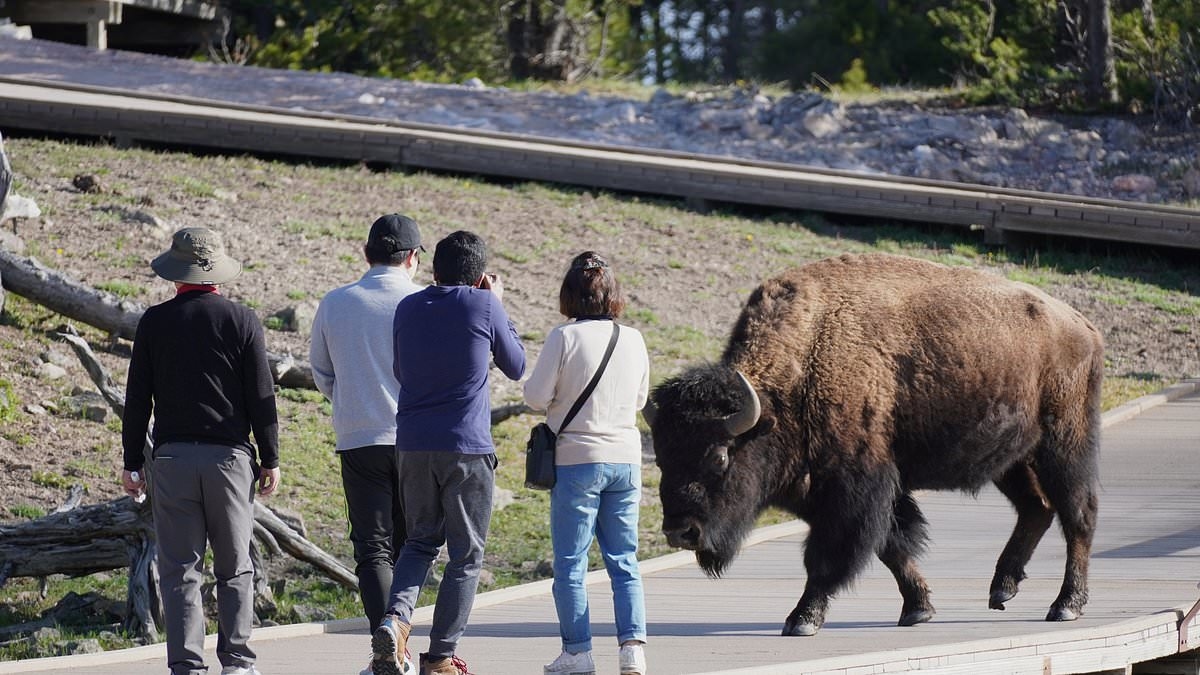 I peggiori errori di etichetta turistica rivelati dalla gente del posto: dal camminare troppo lentamente al posare accanto a monumenti commemorativi e animali selvatici