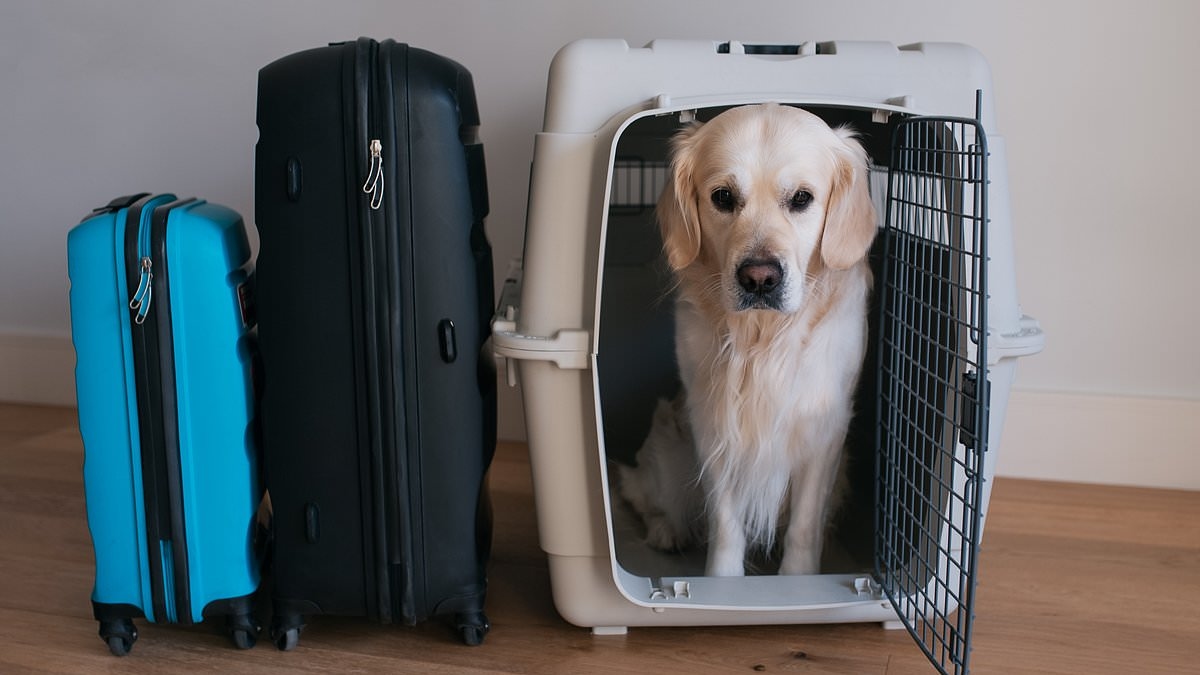 UK asks to rejoin EU pet passport scheme