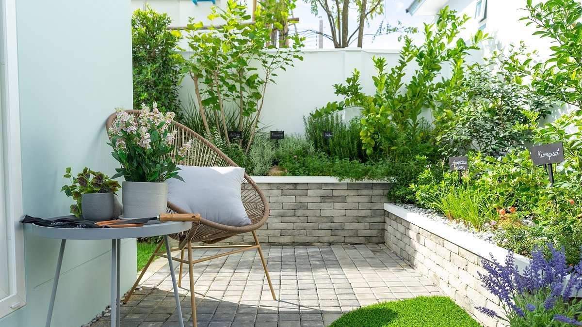 Questo è il quartiere dove i londinesi ottengono più giardini in cambio dei loro soldi - e meno