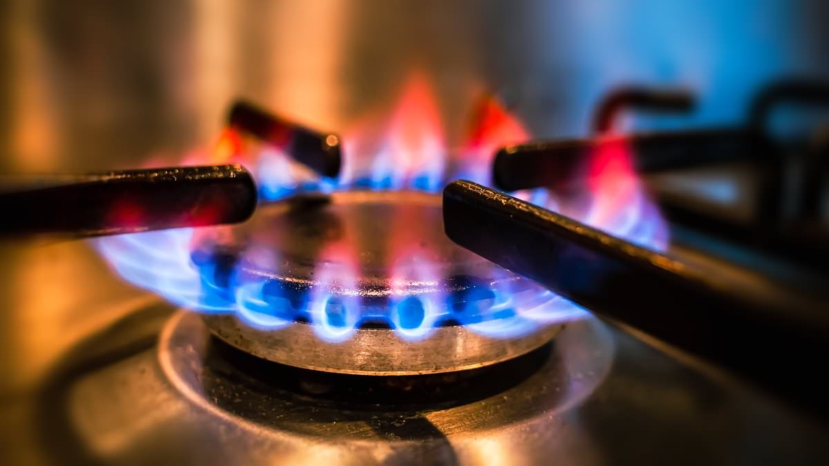 Un sistema defectuoso deja a millones pagando demasiado por las facturas de energía, dice GABRIEL MCKEOWN
