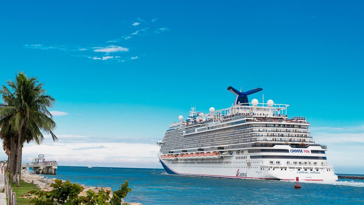 Une grande compagnie de croisière interdit un accessoire de voyage populaire, provoquant la confusion parmi les passagers