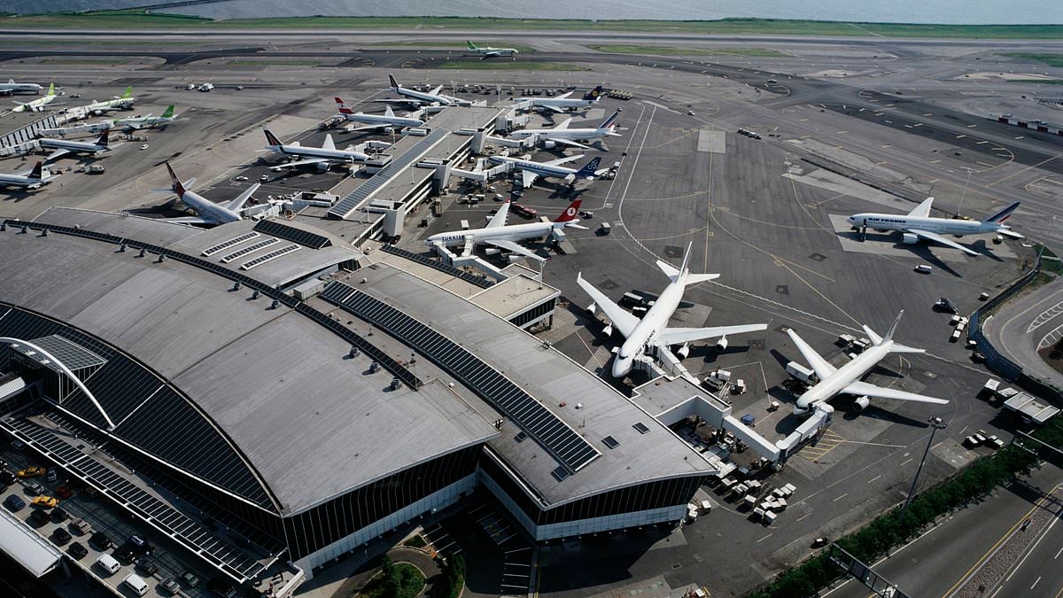 Travel pandemonium as major airports across America ground ALL flights