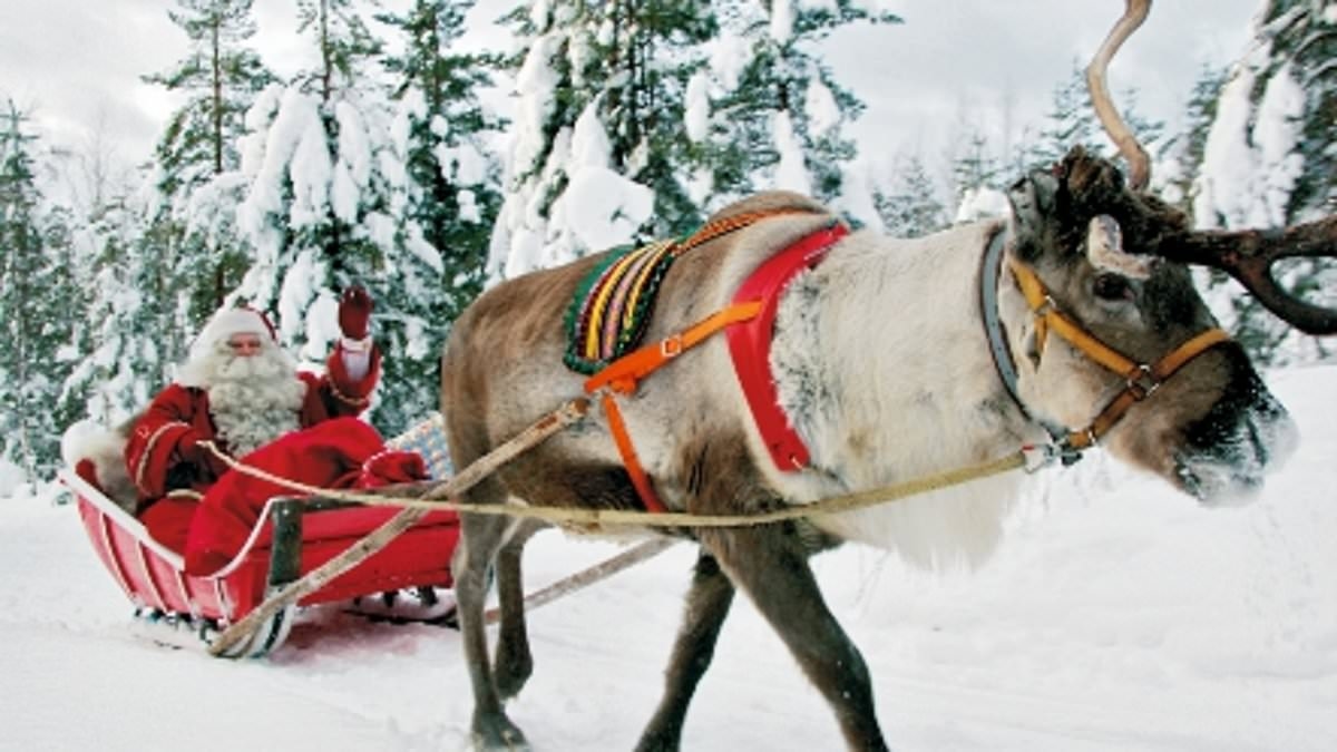 Tui launches flights to 'alternative Lapland' - offering husky sledging and Santa meetings with none of the crowds