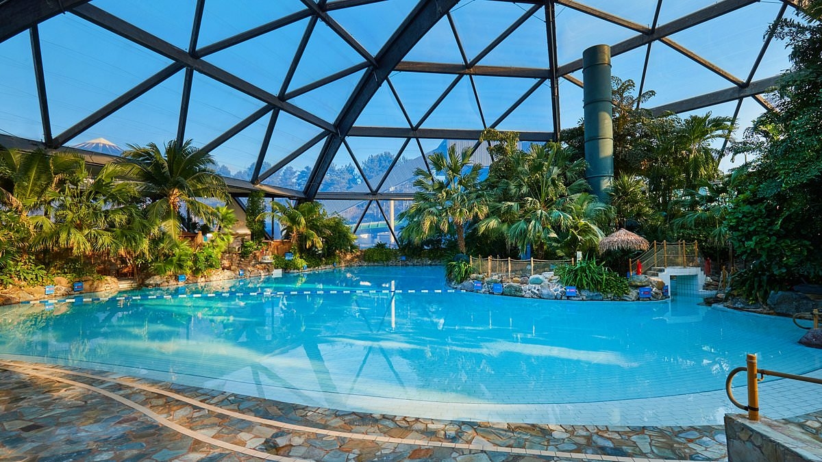 Insider tricks to save you a fortune at Center Parcs. The cheapest parks, exact time to go for each one and the hack that can halve the cost exposed