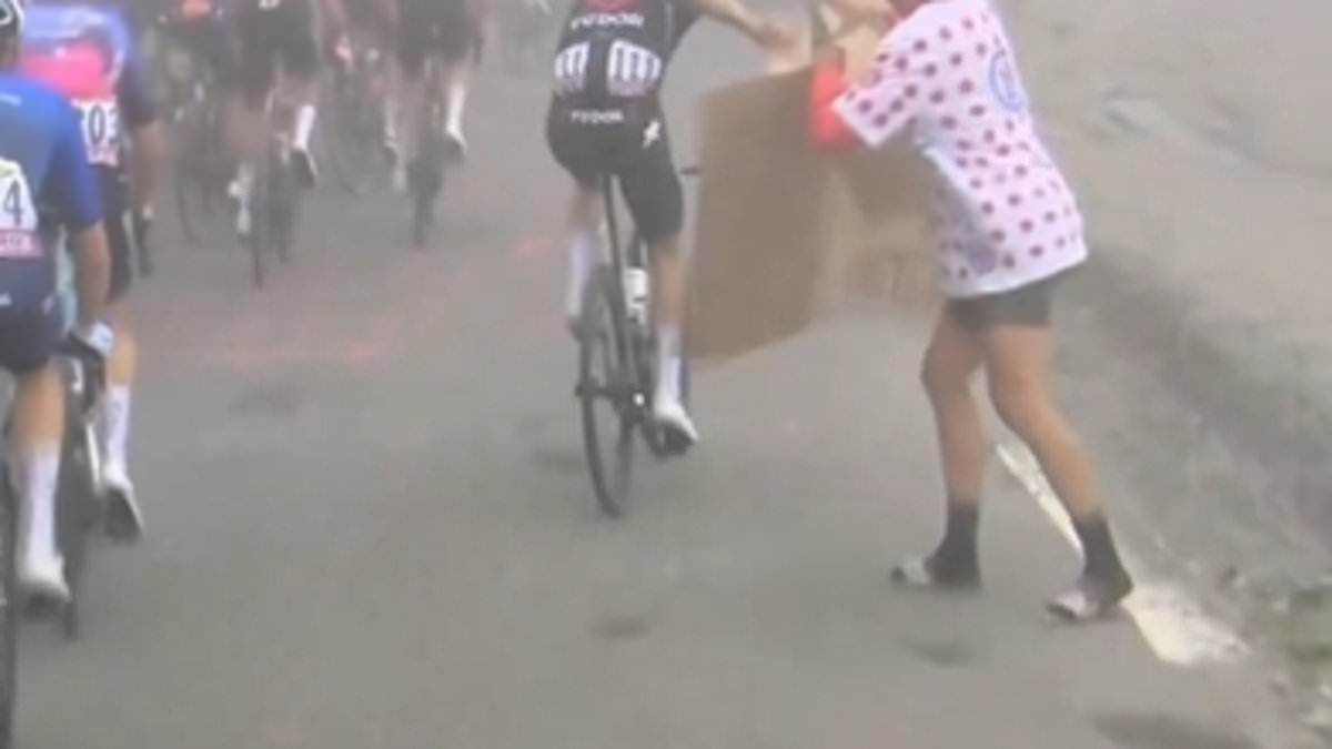 Enthüllt: Der bizarre Grund, warum der Tour de France-Star das Pappschild eines Fans GESTOHLEN, zerrissen und unter sein Trikot geschoben hat