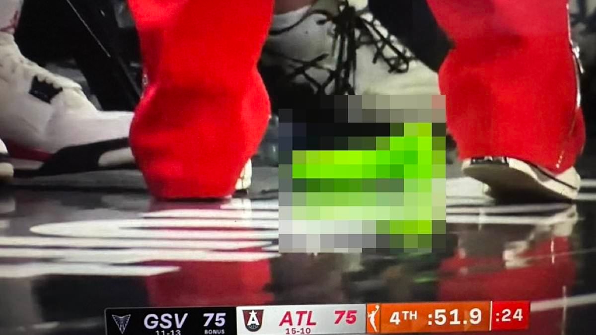 Svelata l'identità del tifoso della WNBA che ha lanciato giocattoli sessuali mentre attende l'udienza in tribunale per l'accusa di atti osceni in luogo pubblico
