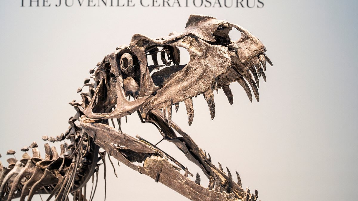 In der millionenschweren Unterwelt der Jurassic-Zeit: Wie Oligarchen und Superreiche in einem erbitterten Wettlauf um Dinosaurierknochen-Trophäen rennen – und Kriminelle davon profitieren