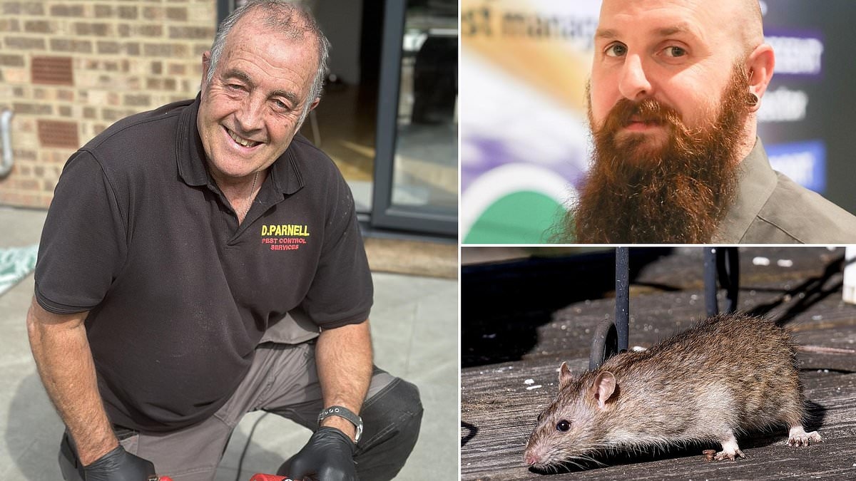 Abbiamo dei topi giganti sotto il terrazzo di casa: cosa dovremmo fare?