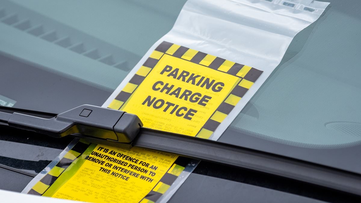 How to spot a fake parking ticket and avoid a costly scam