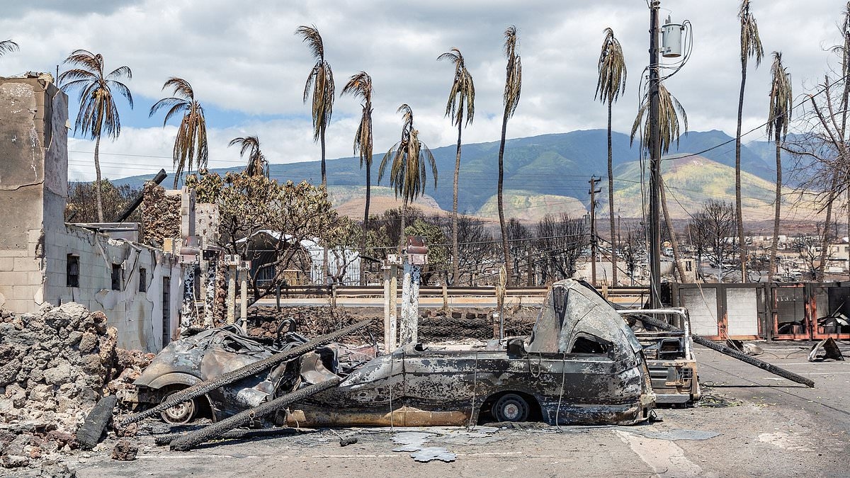 The devastating reality behind surge in deaths on popular Hawaiian island