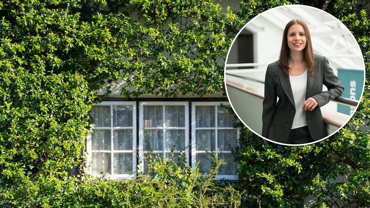 A neighbour has redirected her climbing plants to grow on my extension's windows - what can I do?