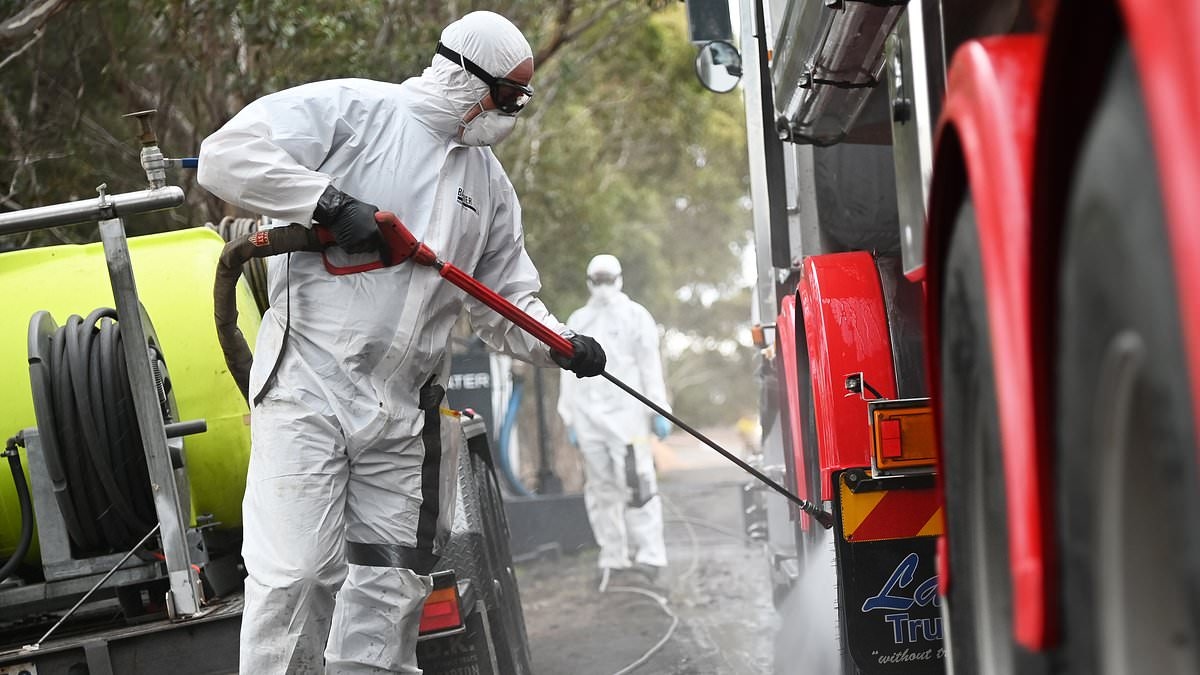 Highly contagious virus experiencing resurgence in US... posing risk to food safety