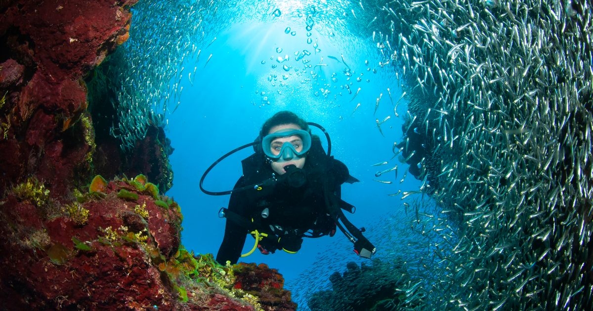 Diver's horrifying death after stabbing himself in heart while lost in underwater labyrinth