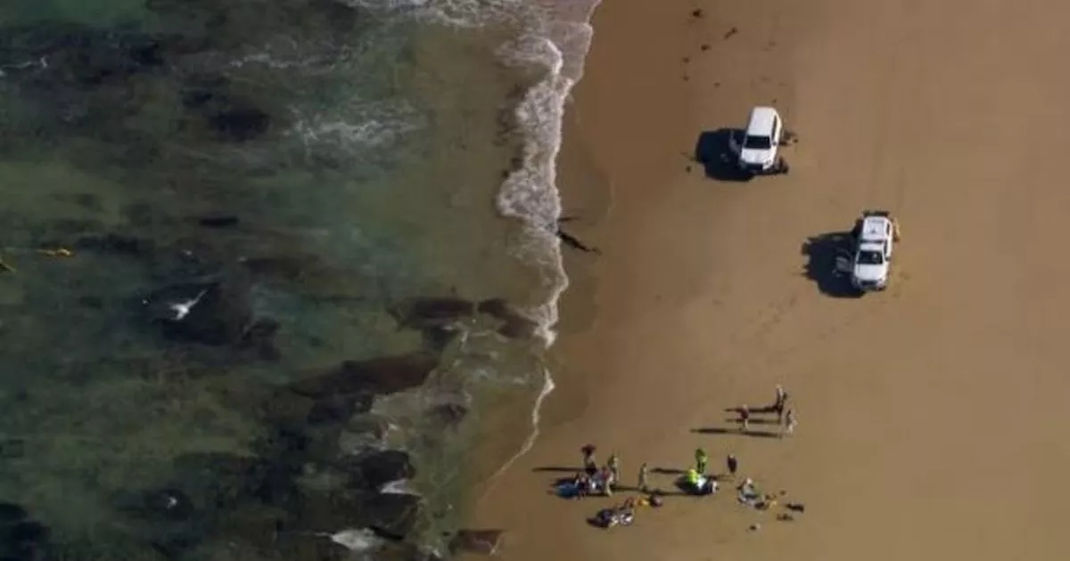 Three people rushed to hospital after helicopter crashes into the ocean near Point Lonsdale off Victoria coast