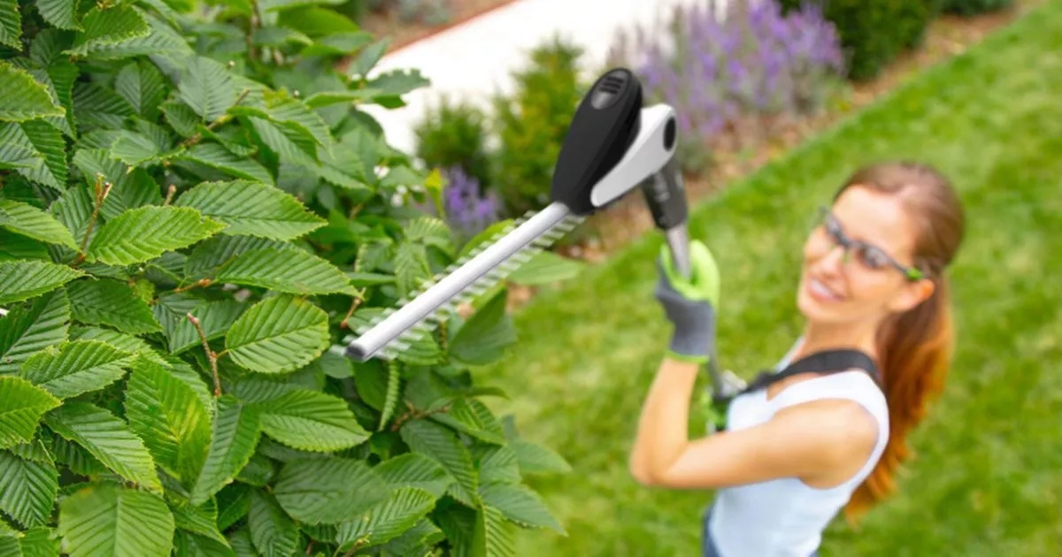 Le taille-haie sans fil « super léger » de Gtech bénéficie d'une réduction de 70 £ et rend le jardinage « sans effort »