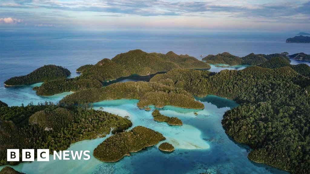 La corsa all'estrazione di metalli per le batterie dei veicoli elettrici minaccia il paradiso marino