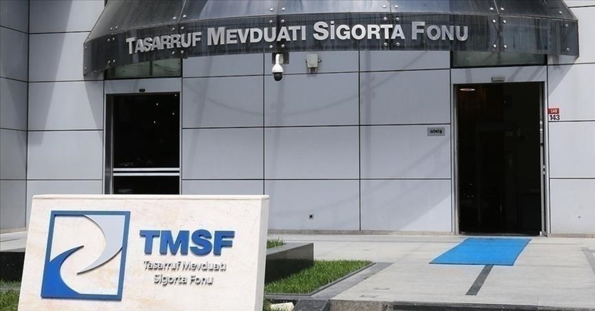 TMSF, iki enerji şirketinde Hazine paylarını satışa çıkardı