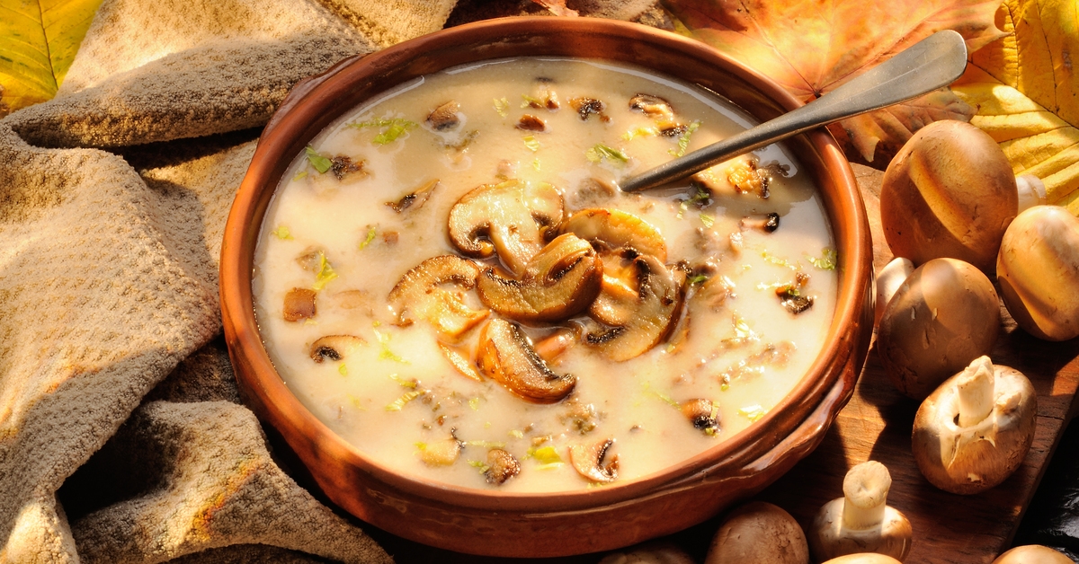 Pilz-Empfehlung für ein starkes Immunsystem!