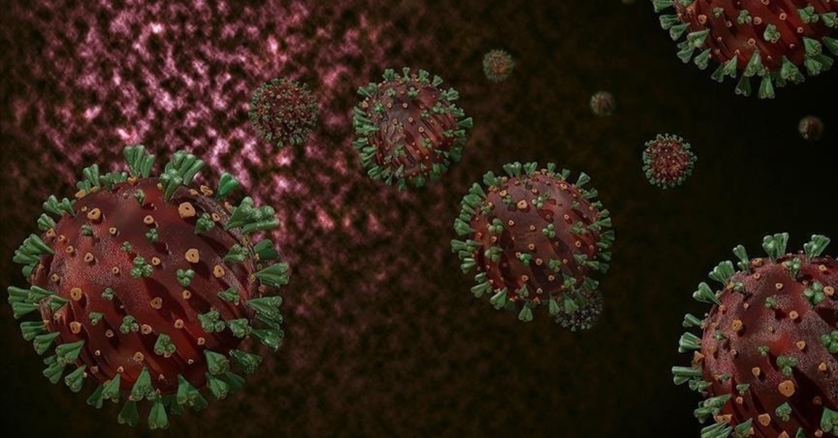 Beunruhigende Aussage der WHO: Eine Epidemie ist im Anmarsch