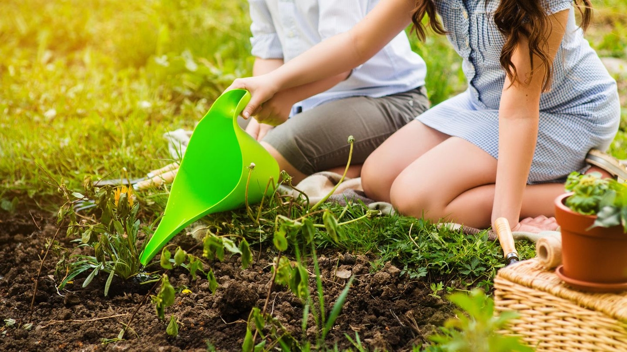 Tuintips: 4 tips hoe azijn een echt wondermiddel wordt in de tuin