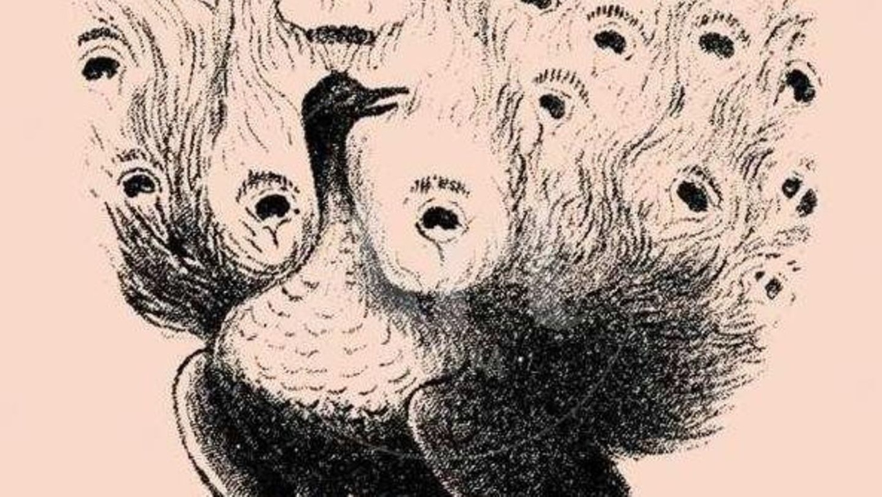 Puzzle illustrato del 1880: solo il 5% trova l'uomo nascosto. Sei uno di loro?
