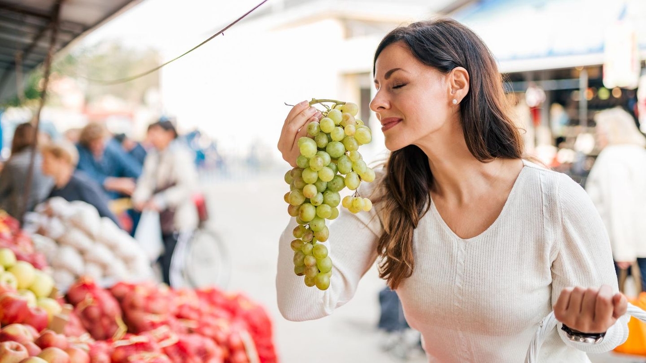 Новые исследования доказывают: 1600 причин, почему виноград — новый суперпродукт