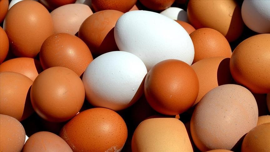 Las exportaciones de huevos de mesa se reducirán en 50 céntimos por kilogramo