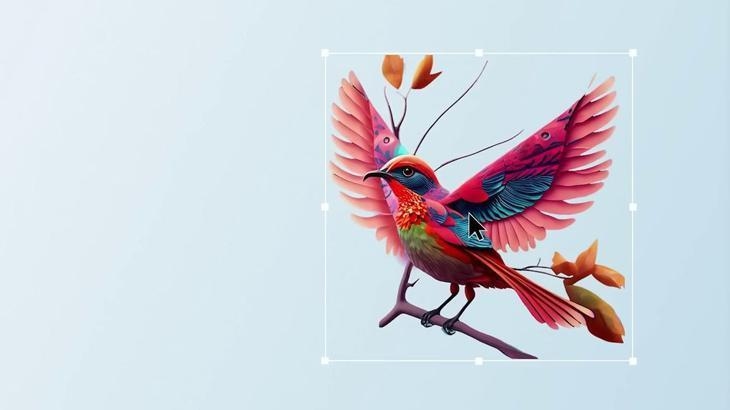 Adobe Firefly-App für iOS und Android veröffentlicht