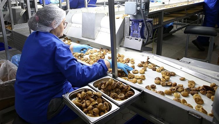De export van gedroogd fruit uit Zuidoost-Anatolië steeg met 15,6 procent