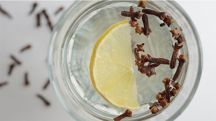 Añade clavos a tu agua de la mañana y ¡nota la diferencia! Tu metabolismo es como un petardo, sin dejar rastro de toxinas.