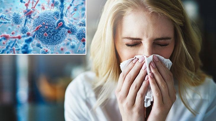 Le epidemie sono in aumento! La chiave per la protezione risiede nel nostro microbiota: 3 passi consapevoli prima dell'arrivo dell'inverno