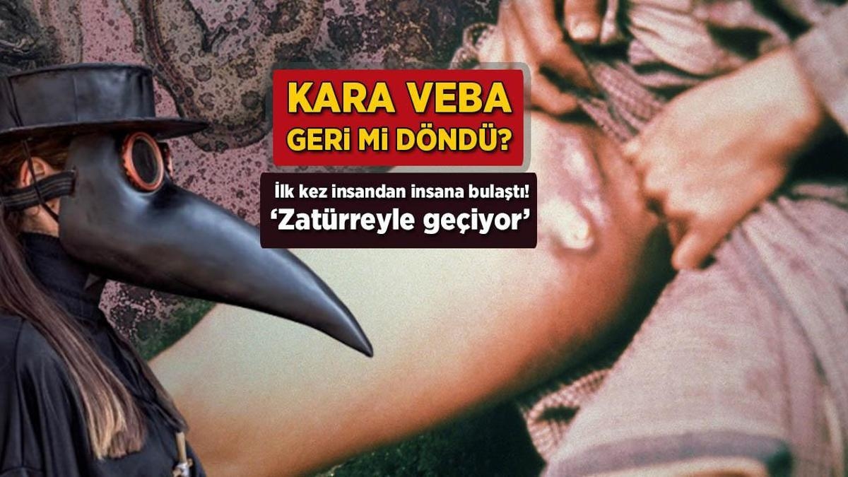 Wiadomości: Pierwszy raz przeniesiono to z osoby na osobę! Czarna śmierć powraca...