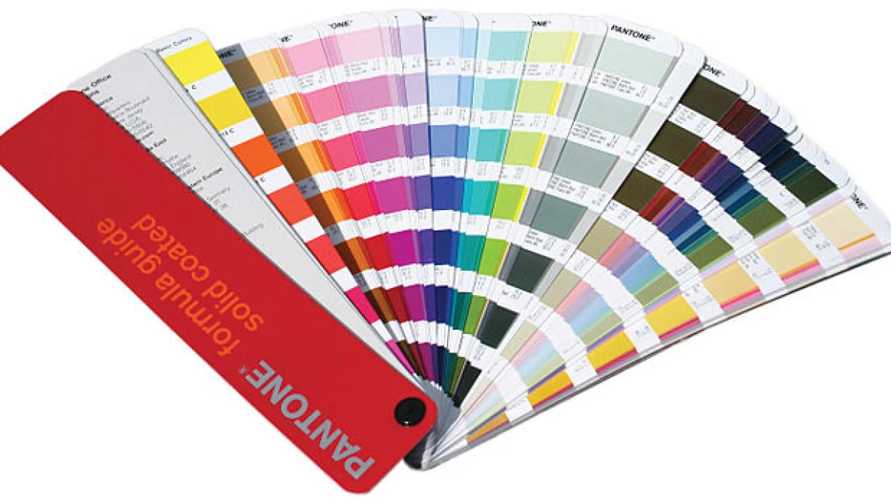 Quelle est ta couleur préférée ? Voici ce que cela dit de votre personnalité, selon la psychologie