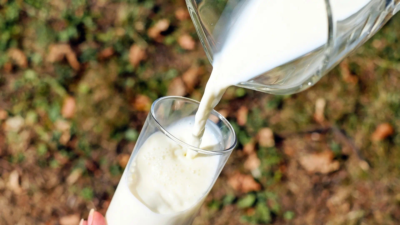 Sara Marin Berbell, a doctor and microbiota expert: "There are more important things than drinking milk for bone health."