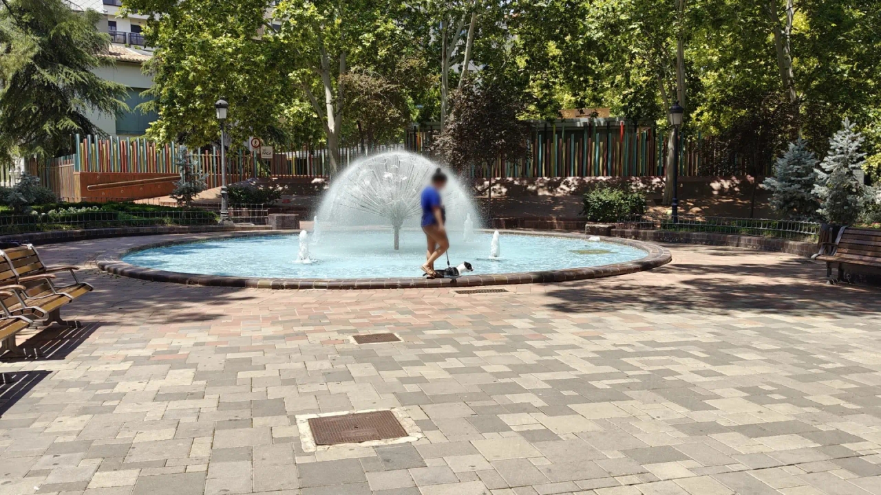 Not in the fountains: What happens if you bathe your dog in public spaces and why it's not a good idea