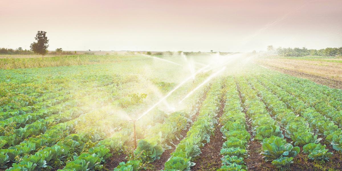 Chiapas investirá 291 milhões de pesos em infraestrutura hidroagrícola.