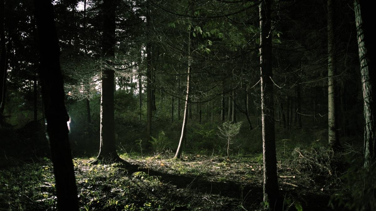 Die letzten Orte der Welt mit Stille, Ruhe und natürlichen Klanglandschaften zum Besuchen und Entspannen.