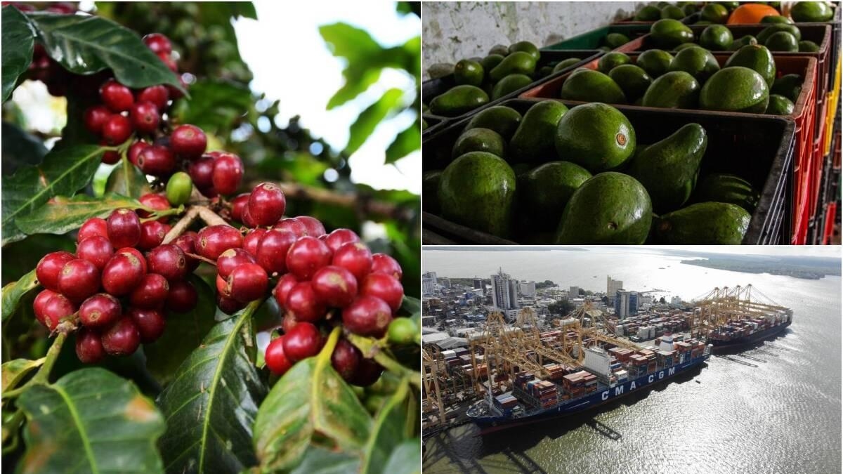 Mincomercio et les entreprises unissent leurs forces pour conquérir de nouveaux marchés pour les produits colombiens