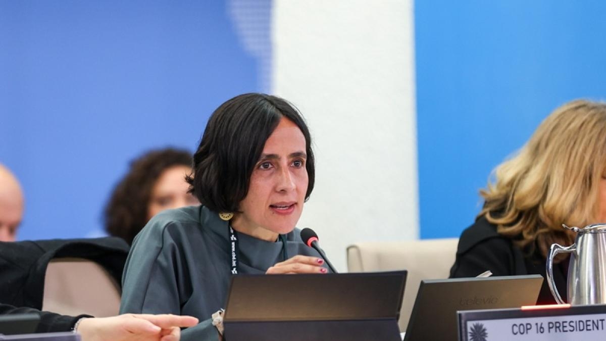 'Dit zijn geen technische beslissingen, maar politieke beslissingen': Susana Muhamad op COP16 in Rome