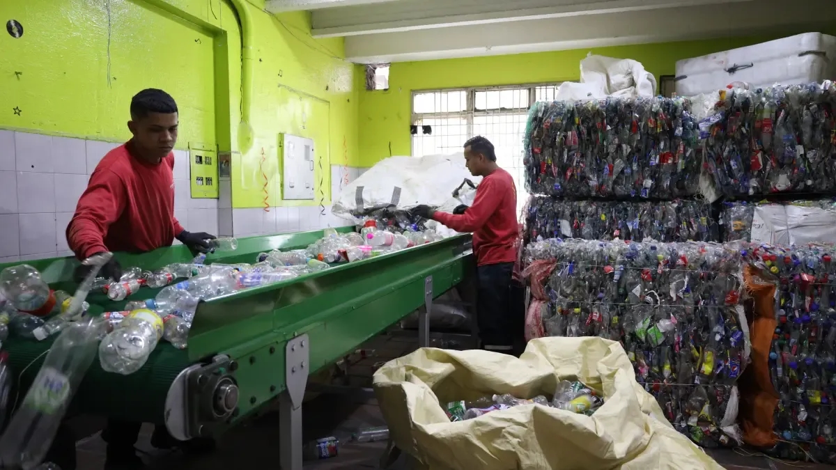 Kolombiya tek kullanımlık plastikleri ortadan kaldırma konusunda nasıl bir yol izliyor? Yasama emrindeki rakamlar